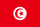 TN flag