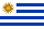 UY flag