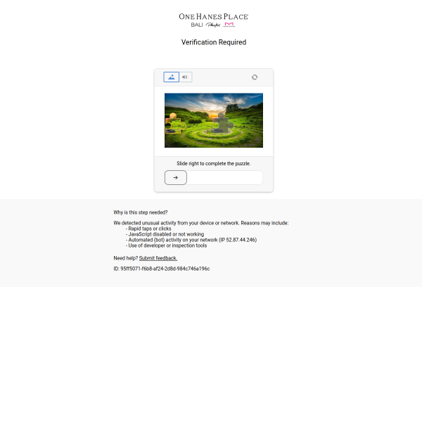 One Hanes Place website