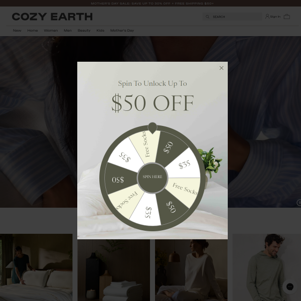 Cozy Earth website