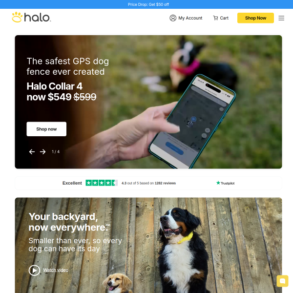 halocollar.com website