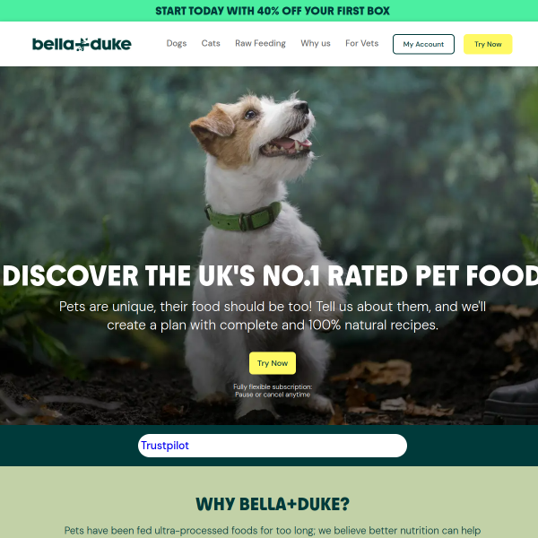 bellaandduke.com website